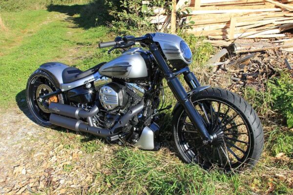 Fork Covers - Image 5