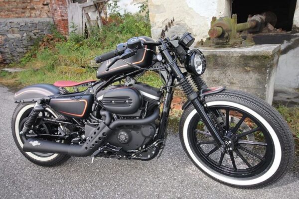 Fork Covers - Image 2