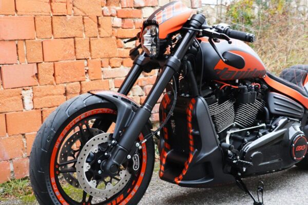 Fork Covers - Image 5
