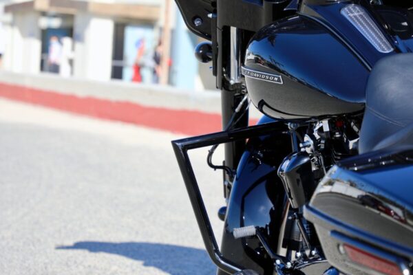 Twin Peaks Engine Guard - Image 7