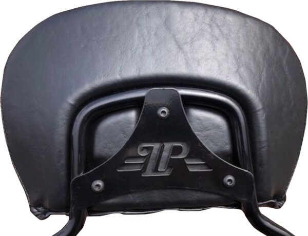 Dead End Sissy Bar Plate - Image 2