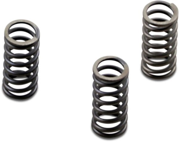 CSK Series Heavy Duty Clutch Spring Kit - Image 2
