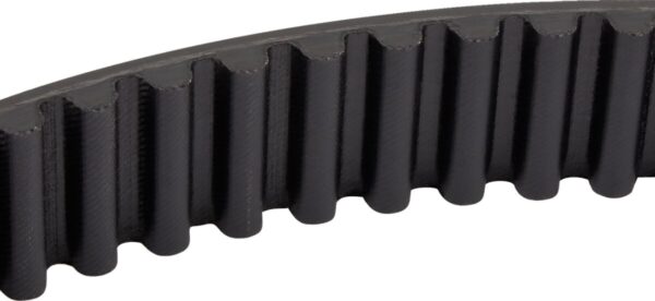 Rear Drive Belt - Image 2