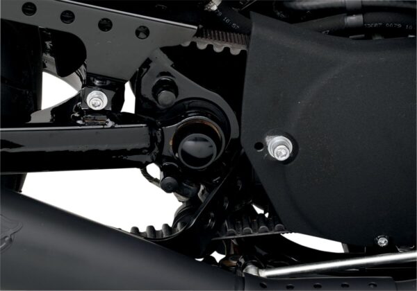 Swingarm Pivot Bolt Covers - Image 2