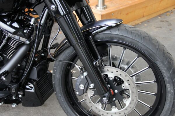 Front Fender Custom - Image 2