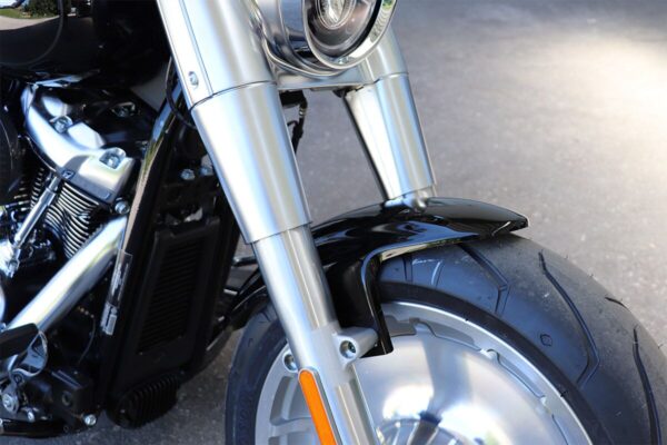 Front Fender Custom - Image 2