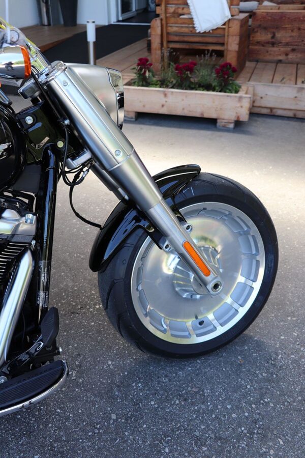 Front Fender Custom - Image 5