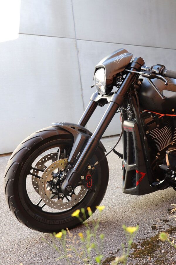 Front Fender Custom - Image 3