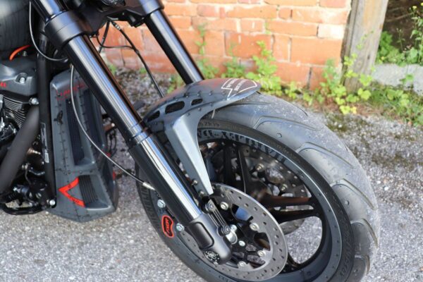 Front Fender Custom - Image 4