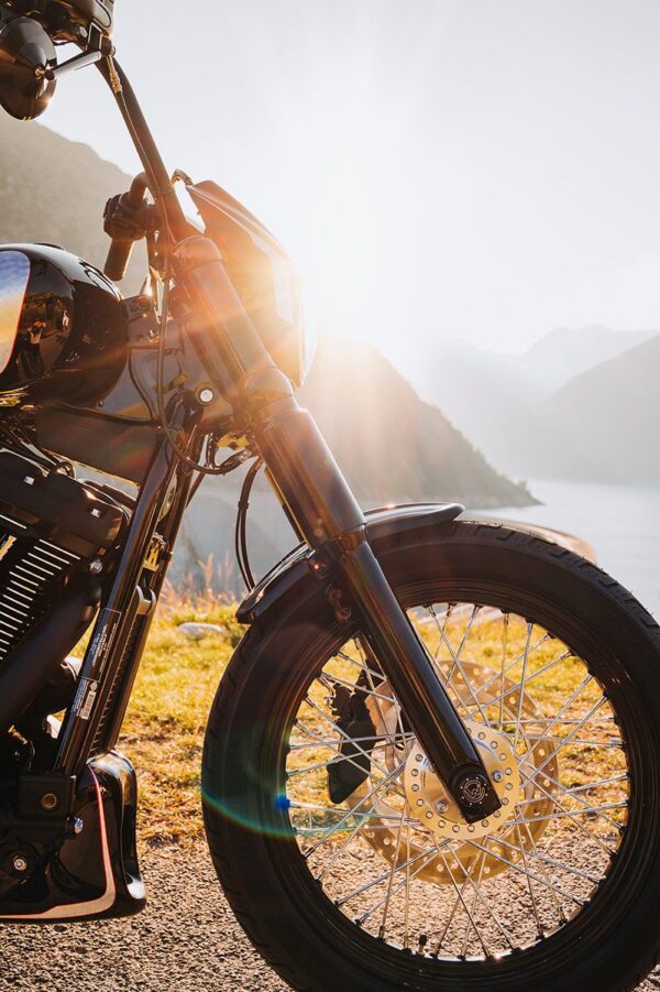 Front Fender Old School - Image 6