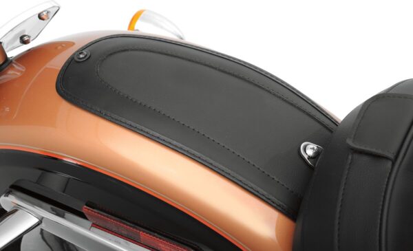 Fender Skin - Image 3
