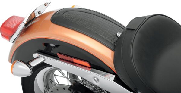 Fender Skin - Image 3