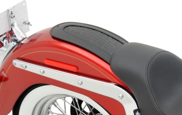 Fender Skin - Image 2