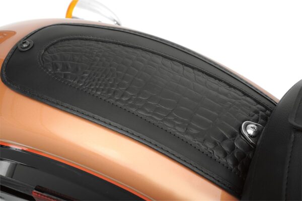 Fender Skin - Image 2