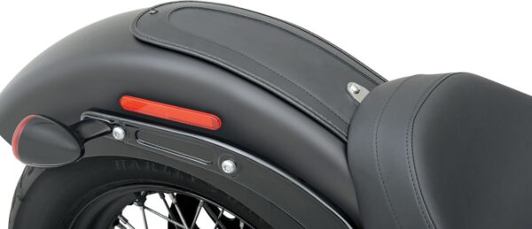 Fender Skin - Image 2