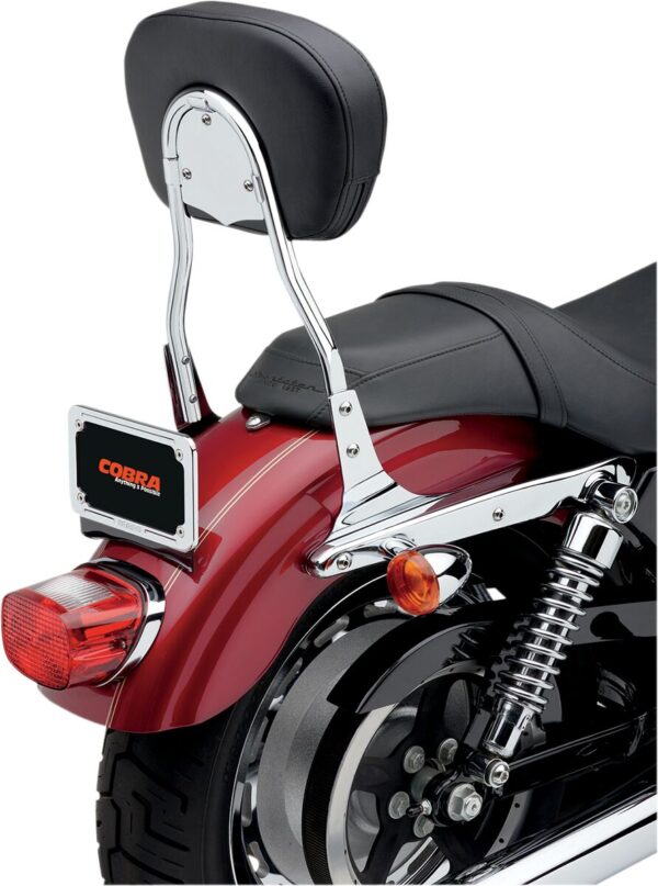 Round Sissy Bar - Image 4