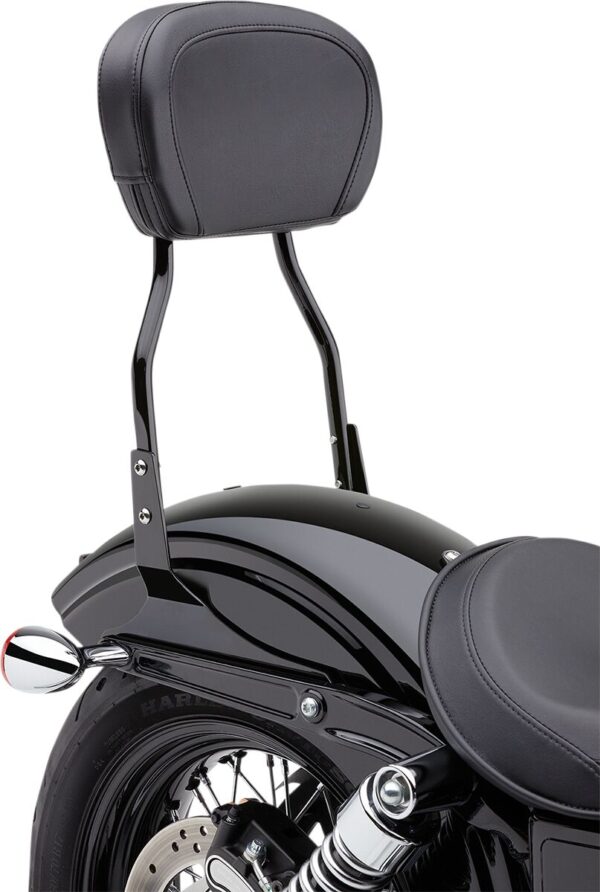Round Sissy Bar - Image 2