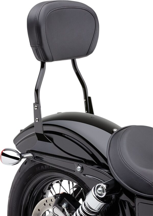 Round Sissy Bar - Image 5