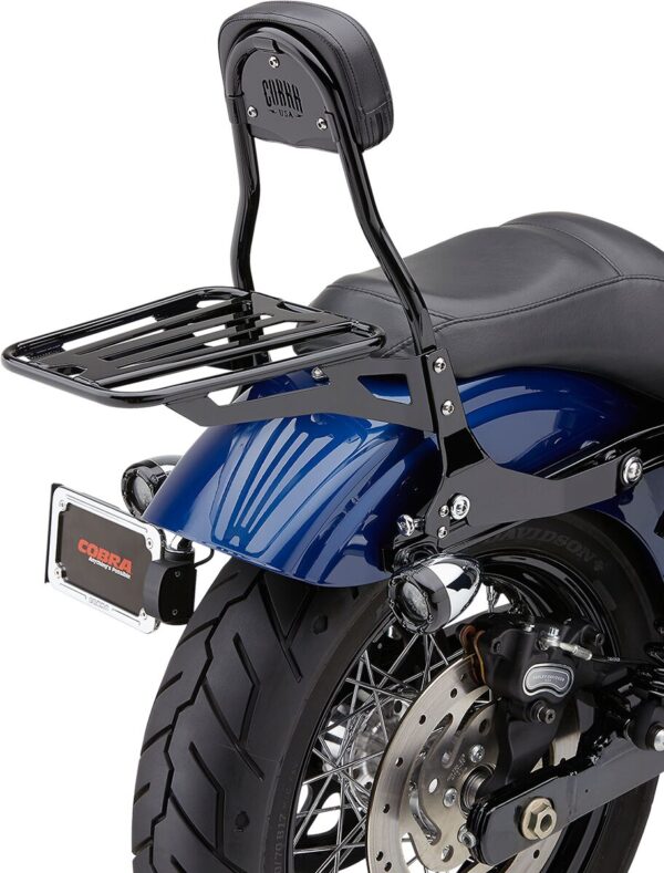 Detachable Backrest Kit - Image 4
