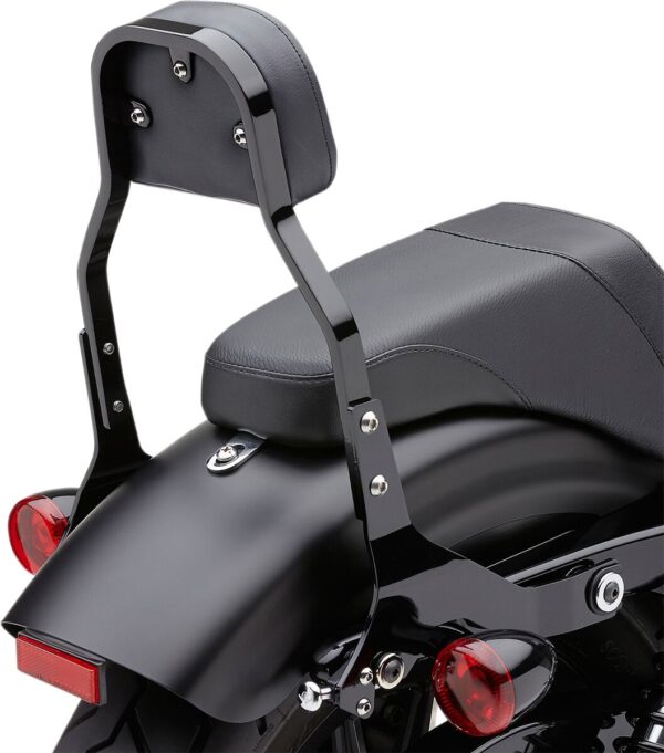 Detachable Backrest Kit - Image 4