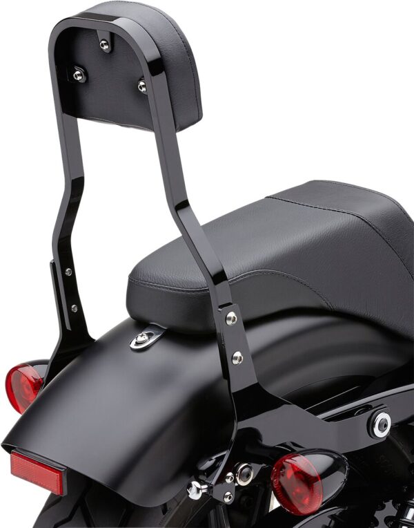 Detachable Backrest Kit - Image 3