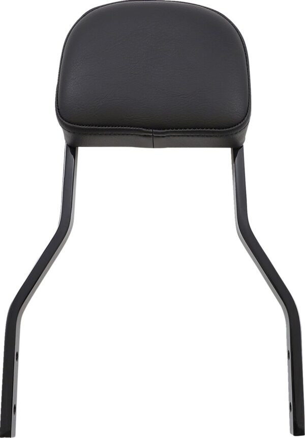 Detachable Backrest Kit - Image 2