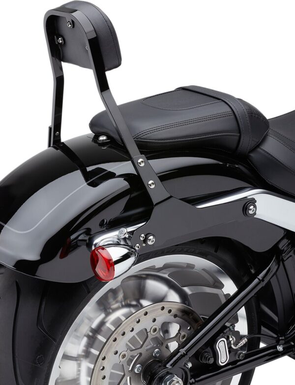 Detachable Backrest Kit - Image 3
