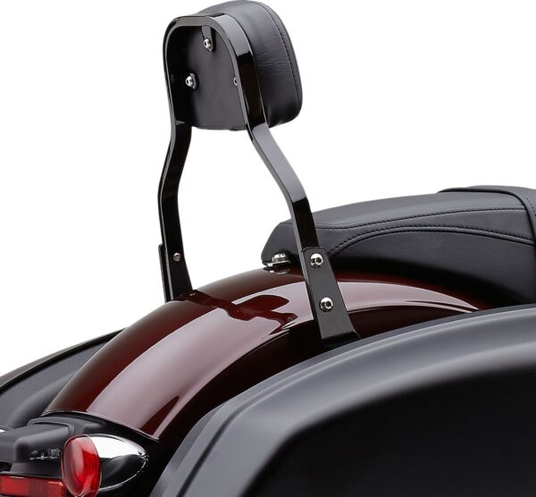 Detachable Backrest Kit - Image 3