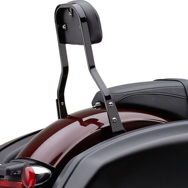 Detachable Backrest Kit - Image 3