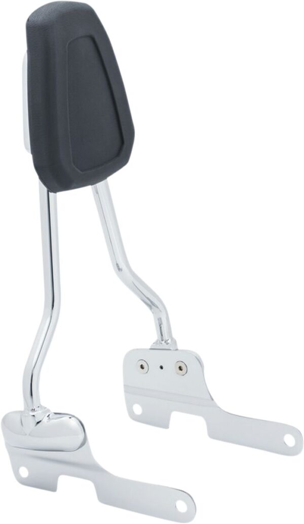Sissy Bar Harley Davidson - Image 7