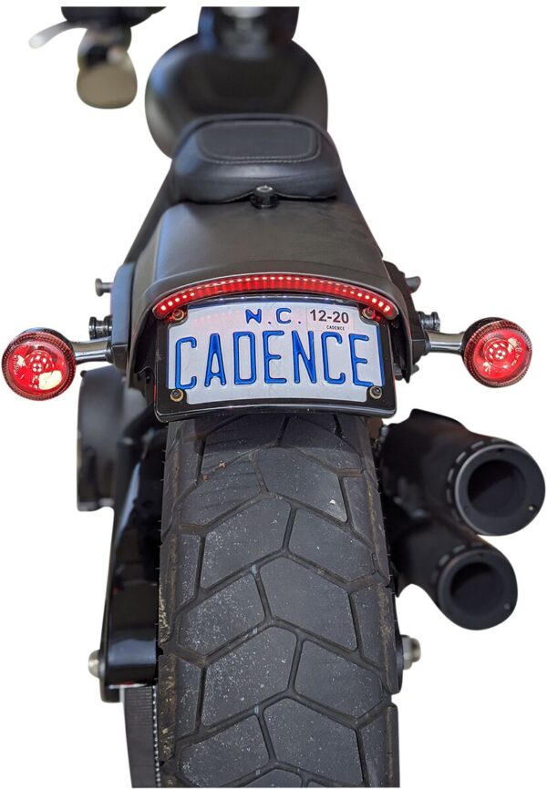 Integrated Taillight with Turn Signals - Image 2
