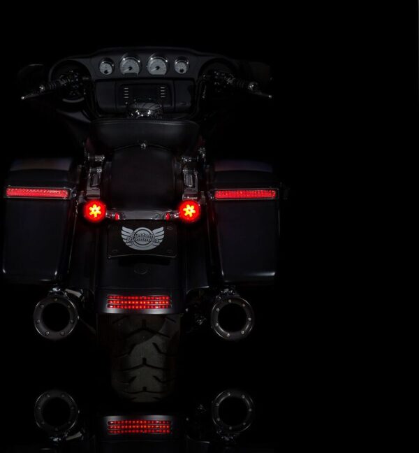 ProBEAM® Red LED Turn Signals with Red Lenses - Image 2