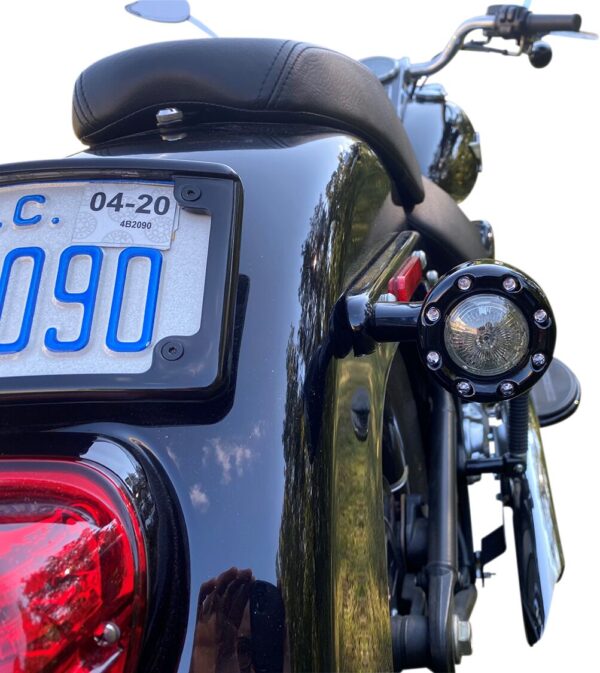 ProBEAM® Bullet Ringz™ 1156 Rear Turn Signals - Image 3