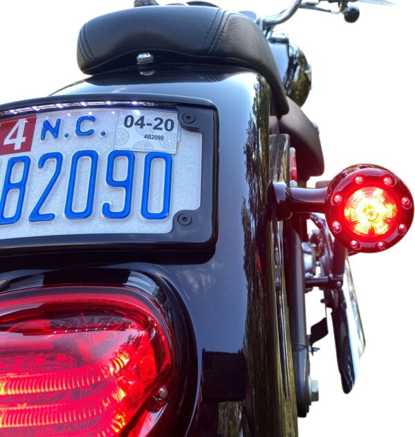 ProBEAM® Bullet Ringz™ 1156 Rear Turn Signals - Image 4