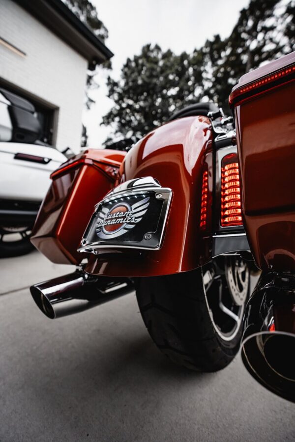 Radius License Plate Mount Assembly for CVO™ - Image 2
