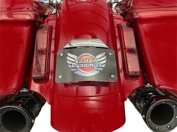 Radius License Plate Mount Assembly for CVO™ - Image 3
