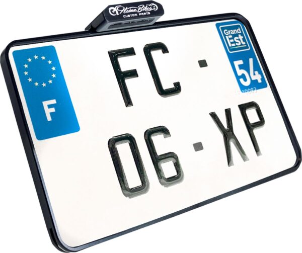 License Plate With Taillight - Image 2