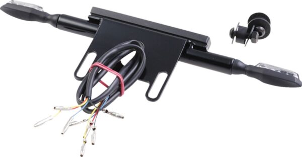 License Plate Kit - Image 7