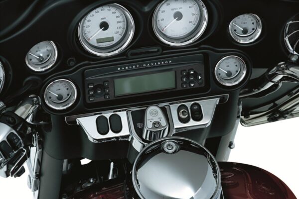 Switch Panel Accent - Image 2