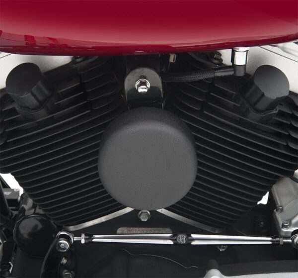 Horn Cover - Image 2