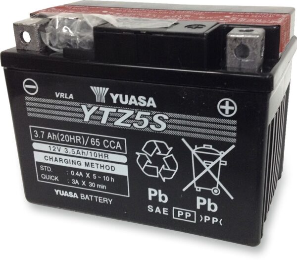 High Performance AGM Maintenance-Free Battery - Image 2