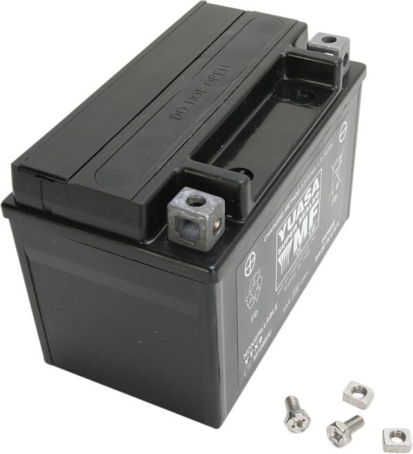 AGM Maintenance-Free Battery - Image 2