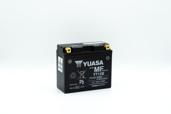 Maintenance-Free Battery - Image 2