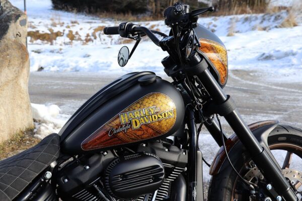 Dash Cover for Harley - Image 3