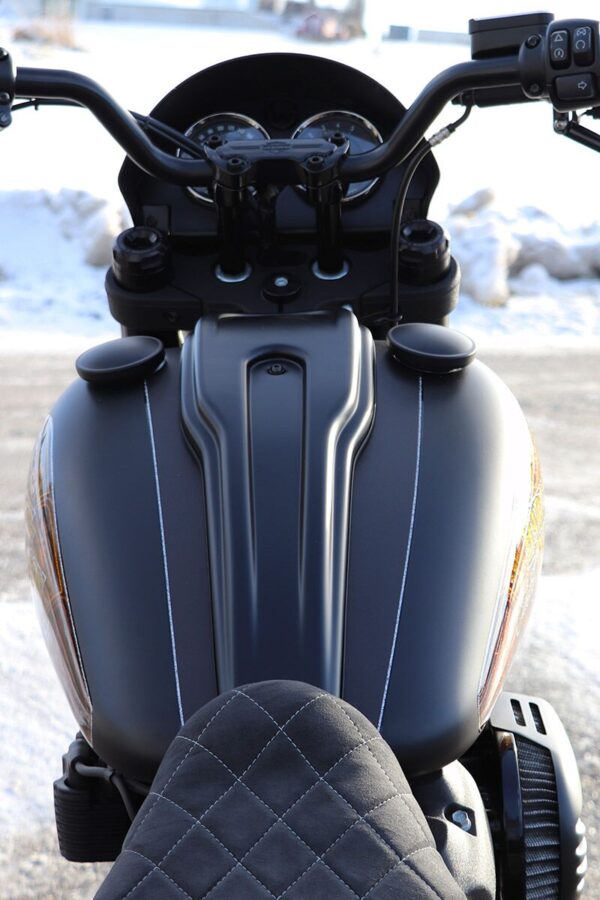 Dash Cover for Harley - Image 4