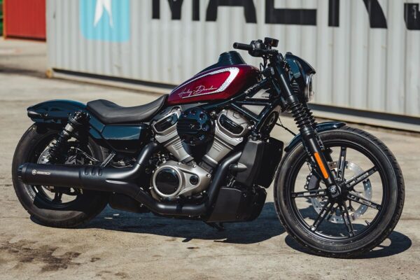 Dash Cover for Harley - Image 2