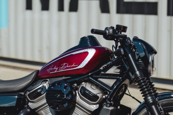 Dash Cover for Harley - Image 3