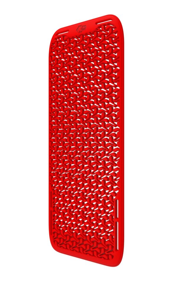 XTM® Back Protector Level 2 - Image 2