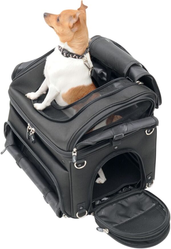 Pet Voyager - Image 6