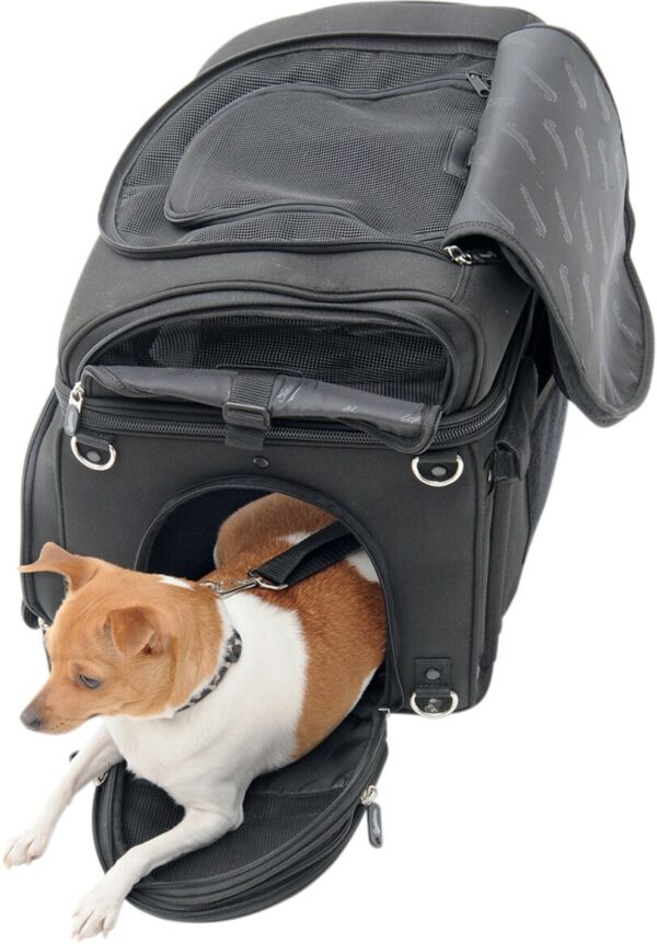 Pet Voyager - Image 9